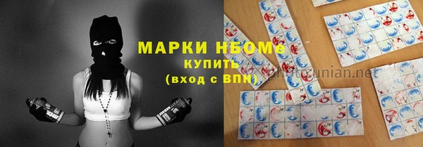 прущие грибы Алексин